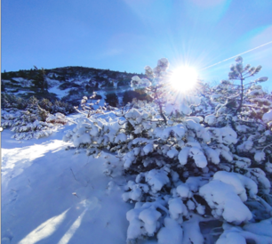 Screenshot_2025-12-02_112204